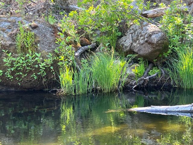 34405 Wild Rose Ln, North Fork, CA 93643