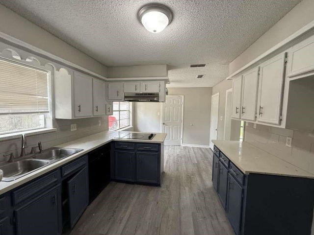 2006 Round Spring Drive, Houston, TX 77339