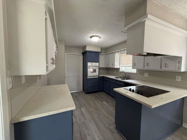 2006 Round Spring Drive, Houston, TX 77339