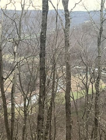 Houck Mountain Road, Walton, NY 13856