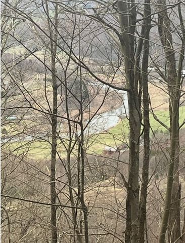 Houck Mountain Road, Walton, NY 13856