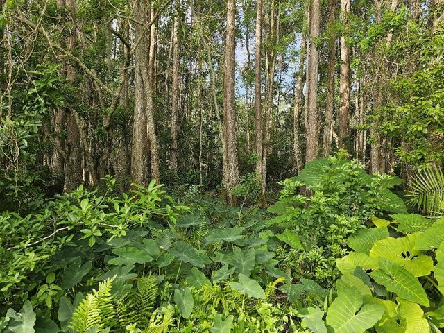 18212 KEYSTONE GROVE BOULEVARD, Odessa, FL 33556