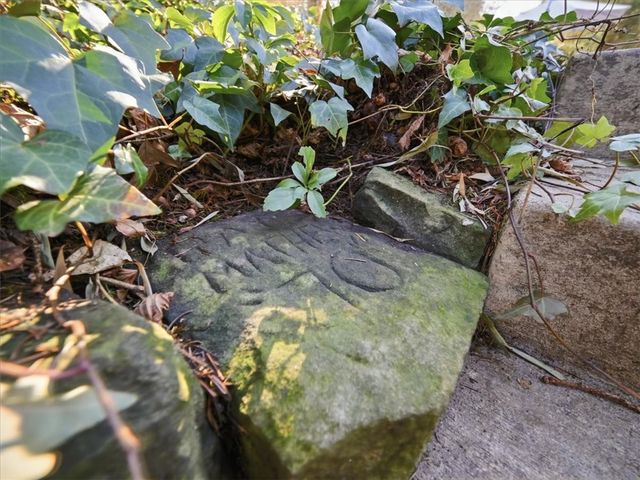 5971 Cherryview Ln, Bethel Park, PA 15102