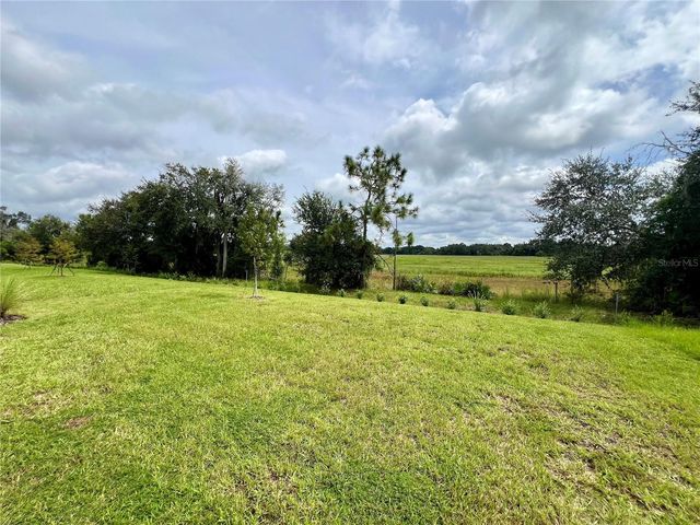 33869 FIELD MAPLE LOOP, Wesley Chapel, FL 33545