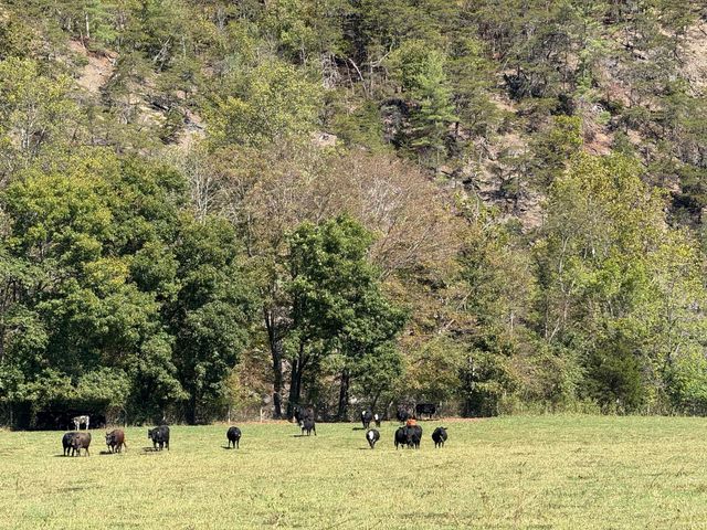 6402 Potts Creek RD, Covington, VA 24426