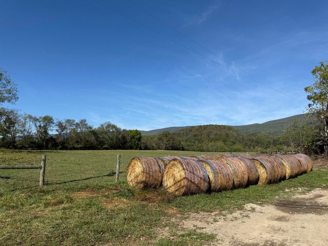 6402 Potts Creek RD, Covington, VA 24426