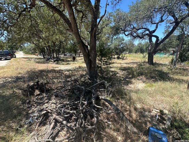 2855 WESTERN SKIES DR, Spring Branch, TX 78070