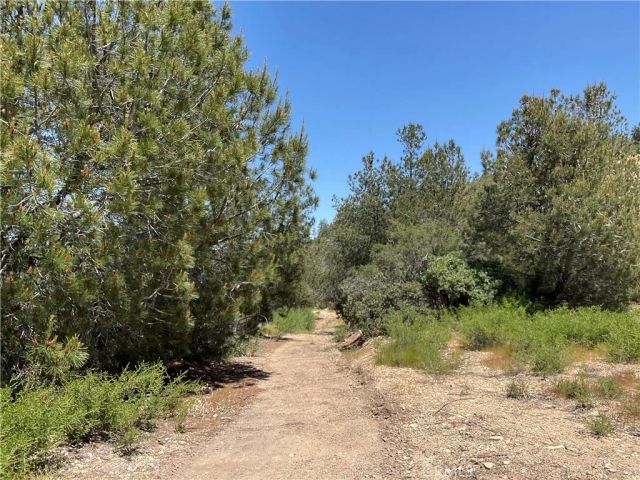 51 Argyle, King City, CA 93930