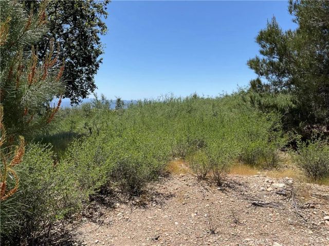 51 Argyle, King City, CA 93930