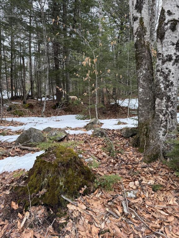 TBD Kilby Edwards Road, Otisfield, ME 04270 — photo 4