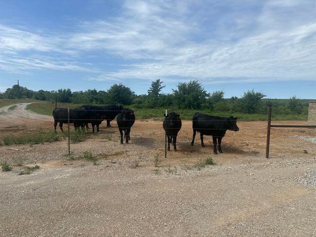Lot 79 Paradise Oaks, Perrin, TX 76486