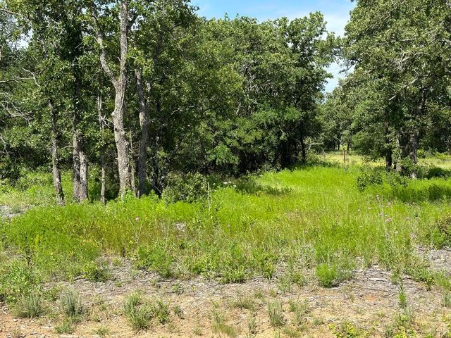 Lot 79 Paradise Oaks, Perrin, TX 76486