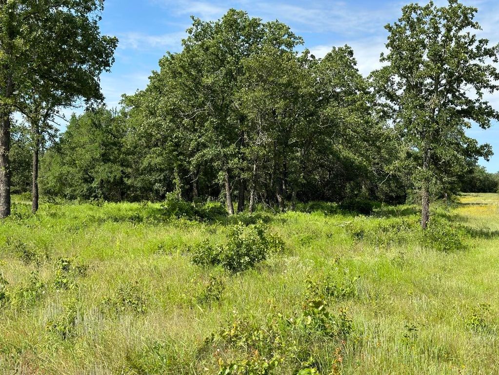 Lot 79 Paradise Oaks, Perrin, TX 76486