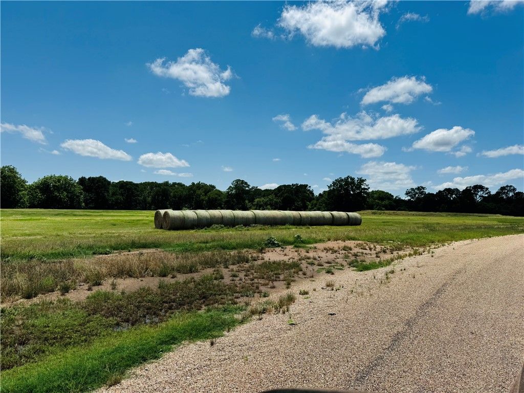 Track 4 Hudson Farms RD, Franklin, TX 77856 — photo 2