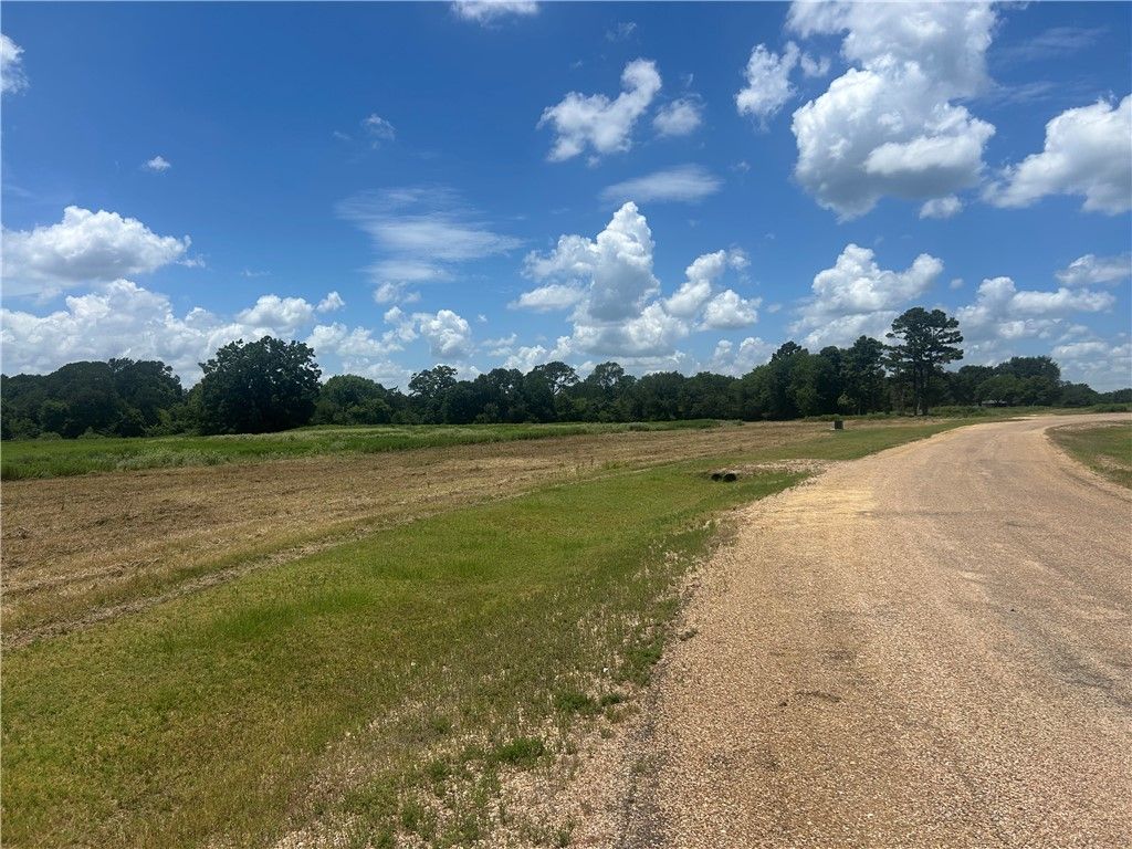 Track 4 Hudson Farms RD, Franklin, TX 77856 — photo 3