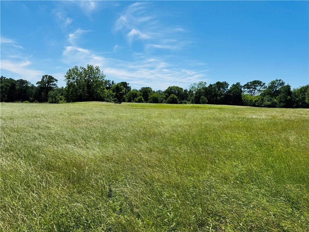 Track 4 Hudson Farms RD, Franklin, TX 77856 — photo 4