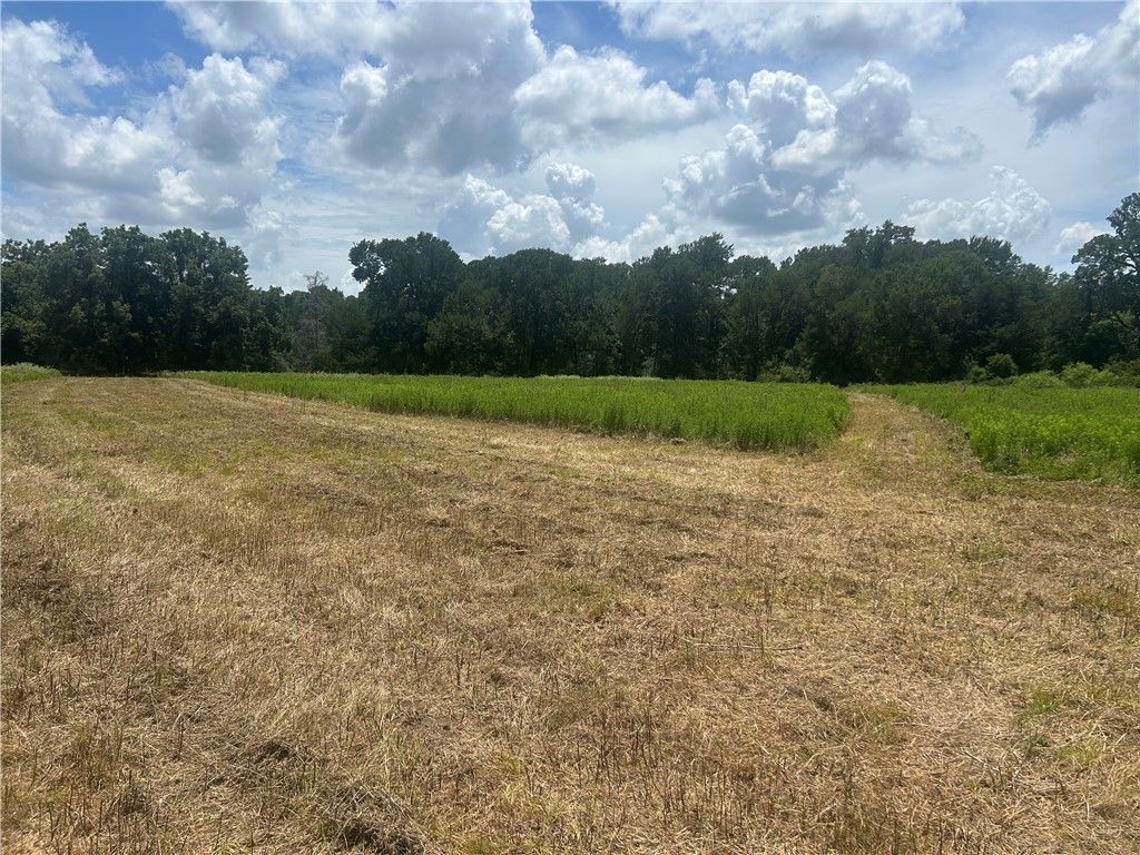 Track 4 Hudson Farms RD, Franklin, TX 77856 — photo 5