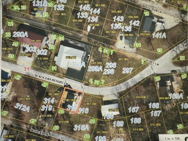 1256 Black Oak Resort Lane, Lampe, MO 65681