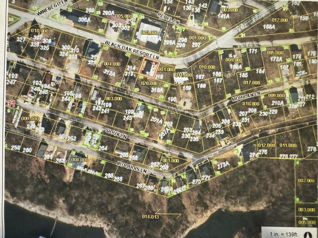 1256 Black Oak Resort Lane, Lampe, MO 65681