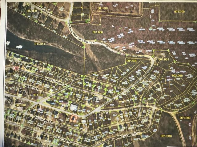 1256 Black Oak Resort Lane, Lampe, MO 65681