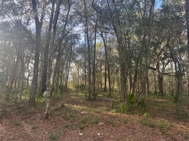 SE 43RD STREET, Ocala, FL 34480