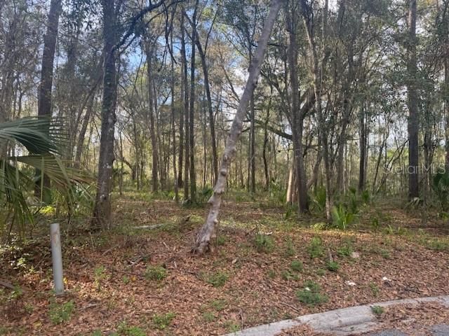 SE 43RD STREET, Ocala, FL 34480