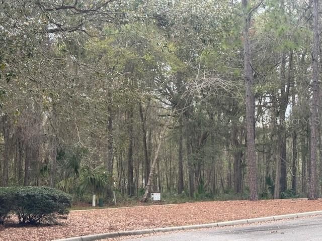 SE 43RD STREET, Ocala, FL 34480