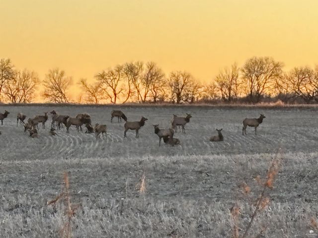 5707 Saddle Rock Road, Manhattan, KS 66503