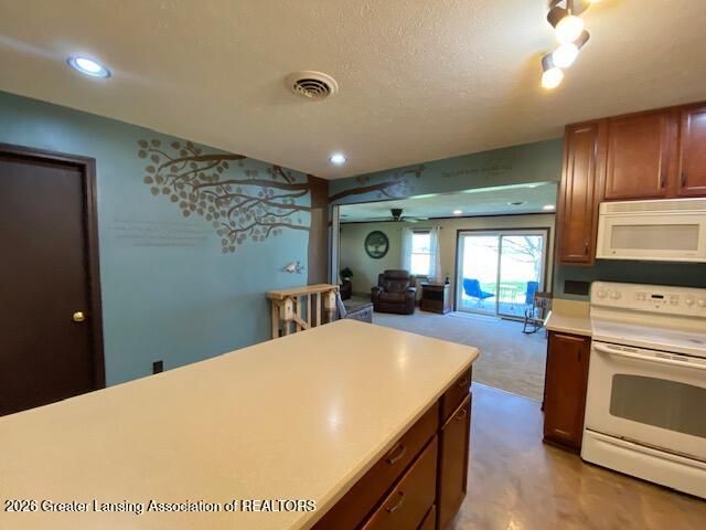 1910 W Pratt Road, Dewitt, MI 48820