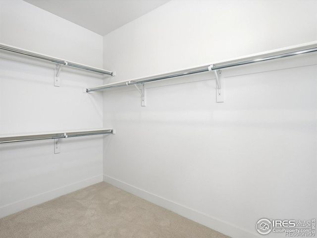 718 Punter Street, Erie, CO 80516