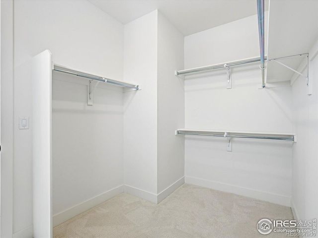 718 Punter Street, Erie, CO 80516