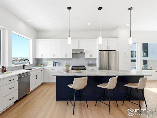 718 Punter Street, Erie, CO 80516