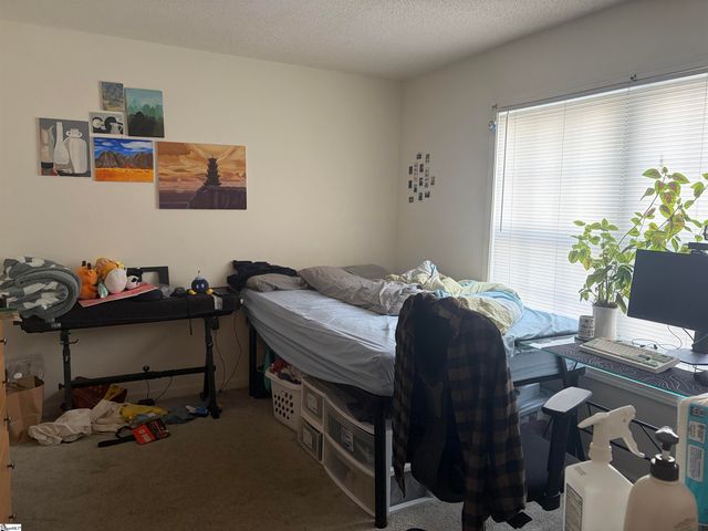 190 University Village Drive Unit C, Central, SC 29630