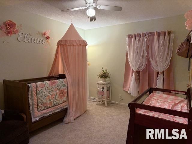 404 N MAPLE Street, Christopher, IL 62822