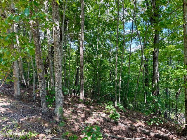 9 Sahkanaga Drive, Murphy, NC 28906