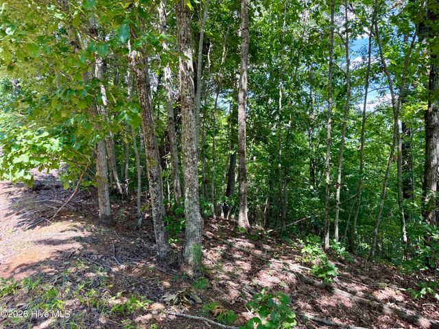 9 Sahkanaga Drive, Murphy, NC 28906