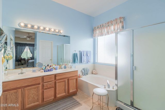 7236 E TEXAS EBONY Drive, Gold Canyon, AZ 85118