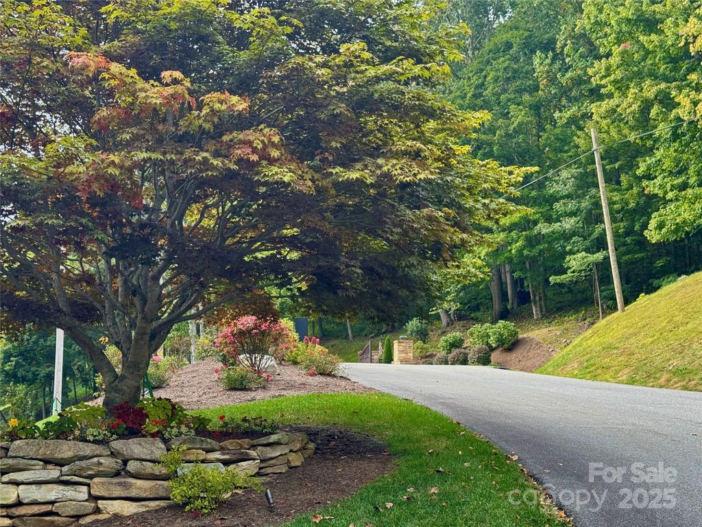 TBD Bear Paw Road 15, Elk Park, NC 28622