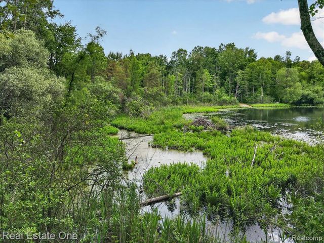 425 Courtney Road, Leonard, MI 48367