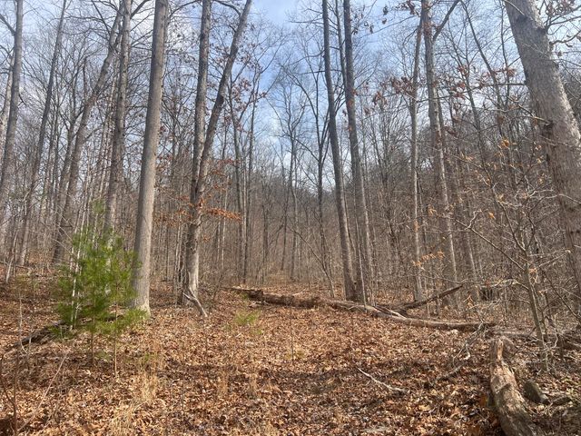 1470 Hopkins Fork, Pikeville, KY 41501