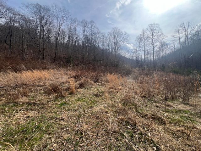 1470 Hopkins Fork, Pikeville, KY 41501