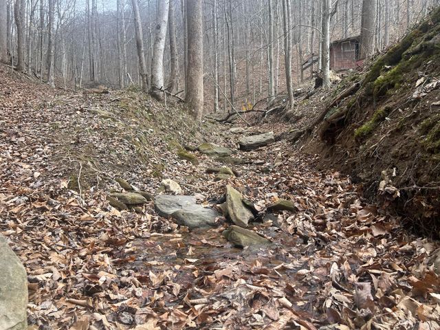 1470 Hopkins Fork, Pikeville, KY 41501