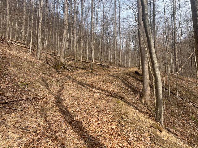 1470 Hopkins Fork, Pikeville, KY 41501