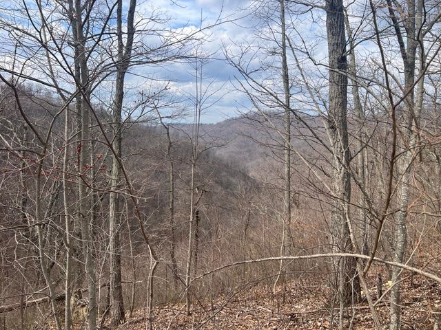 1470 Hopkins Fork, Pikeville, KY 41501