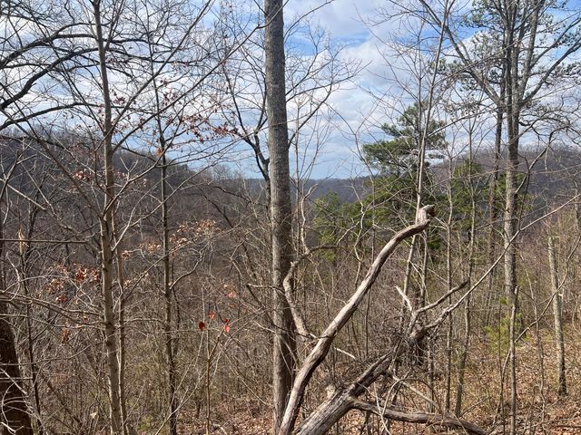 1470 Hopkins Fork, Pikeville, KY 41501