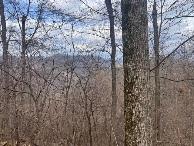 1470 Hopkins Fork, Pikeville, KY 41501