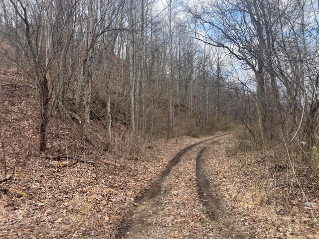 1470 Hopkins Fork, Pikeville, KY 41501