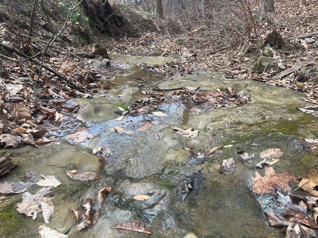 1470 Hopkins Fork, Pikeville, KY 41501