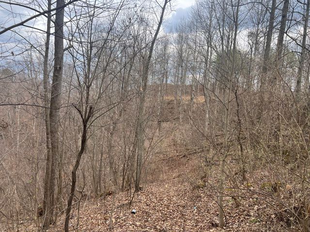 1470 Hopkins Fork, Pikeville, KY 41501