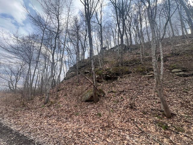 1470 Hopkins Fork, Pikeville, KY 41501